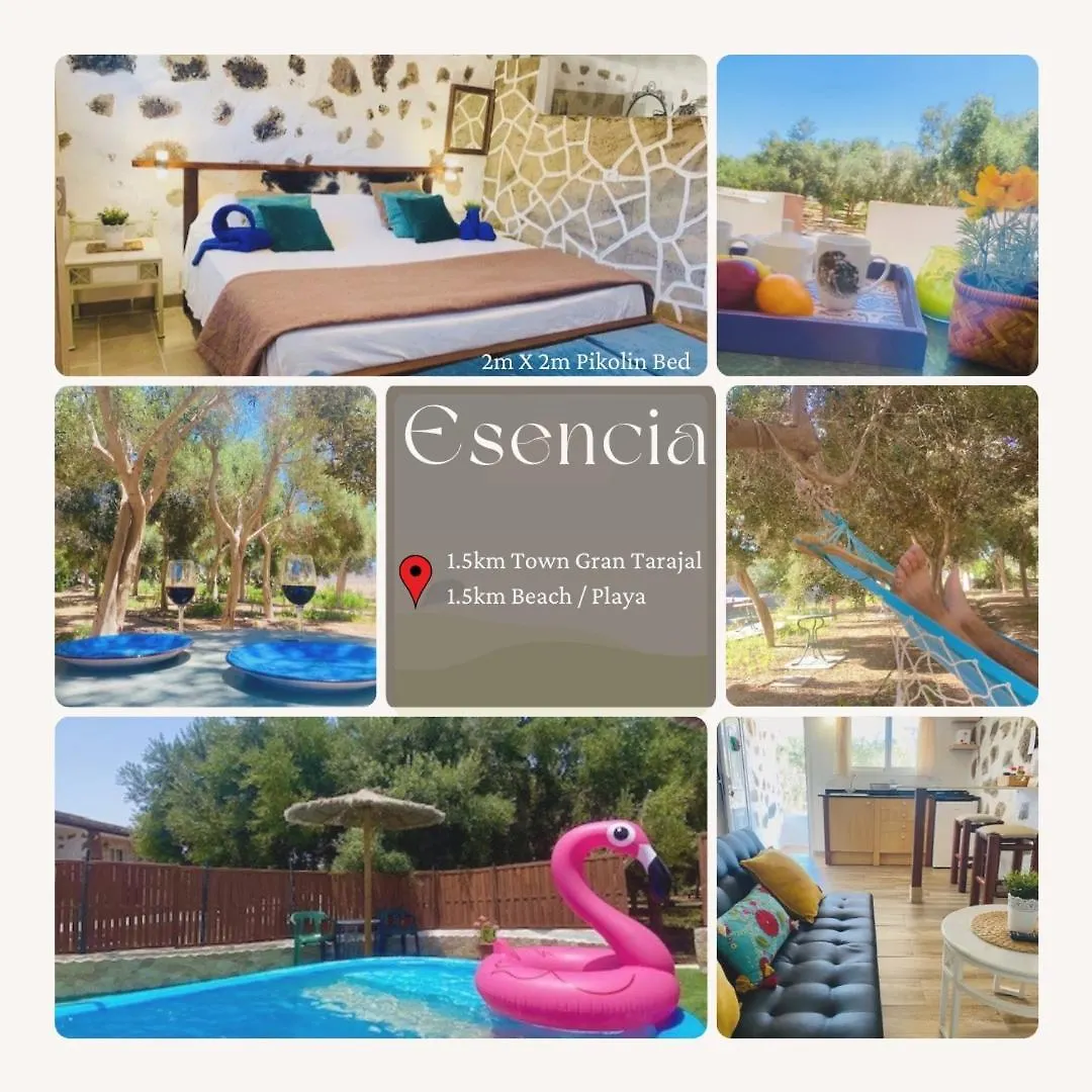 Bungalow Alma #Only Adults El Charco  El Charco (Las Palmas)